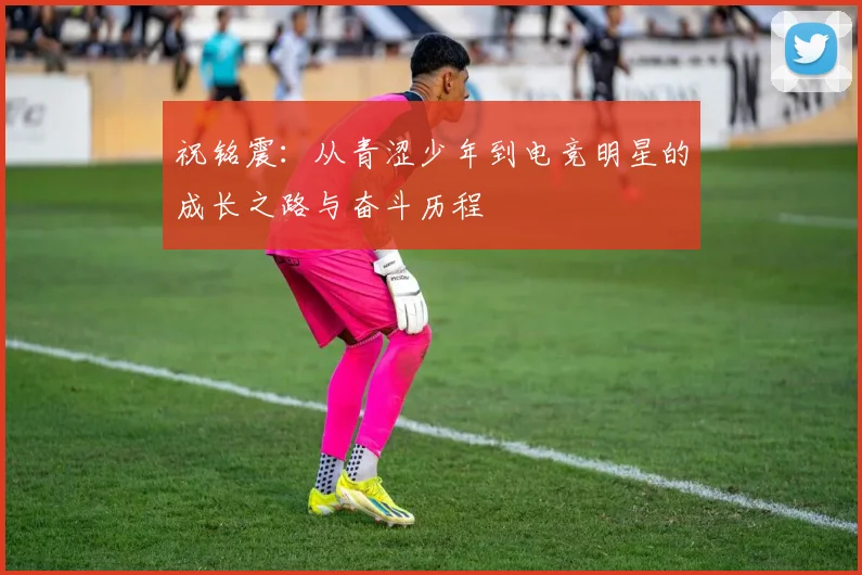 祝铭震：从青涩少年到电竞明星的成长之路与奋斗历程